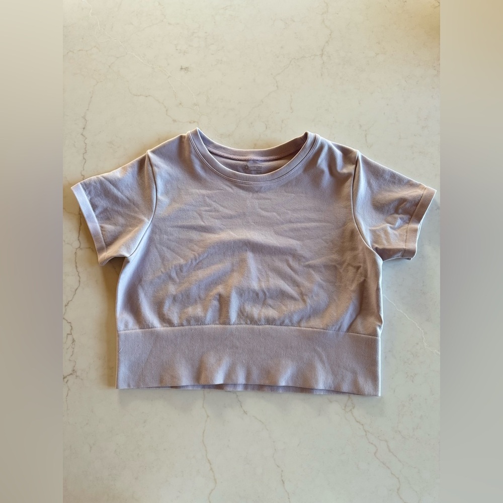 Women’s Offline by Aerie Lavender Cropped T-Shirt | Soft Ribbed Hem | XL